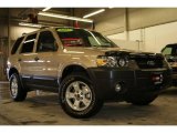 2007 Dune Pearl Metallic Ford Escape XLT V6 4WD #25710117