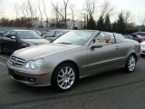 2007 Pewter Metallic Mercedes-Benz CLK 350 Cabriolet #25752031