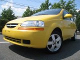 2008 Summer Yellow Chevrolet Aveo Aveo5 LS #25752568