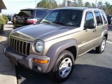 2004 Jeep Liberty Sport