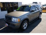 2002 Harvest Gold Metallic Ford Explorer XLT 4x4 #25841727