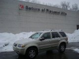 2005 Gold Ash Metallic Ford Escape Limited 4WD #25891024