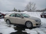 2010 Smokestone Metallic Ford Fusion SE #25891074