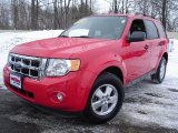 2009 Sangria Red Metallic Ford Escape XLT #25920180