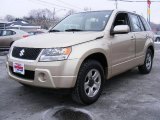 Clear Beige Metallic Suzuki Grand Vitara in 2006