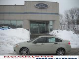 2010 Natural Neutral Metallic Ford Focus SE Sedan #25964525