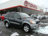 2005 Flint Mica Toyota RAV4 4WD #25999735