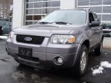 2007 Tungsten Grey Metallic Ford Escape Limited 4WD #25999772