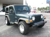 2006 Jeep Green Metallic Jeep Wrangler X 4x4 #26068257