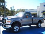 2010 Sterling Gray Metallic Ford F250 Super Duty XLT Regular Cab 4x4 #26068157