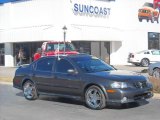 2001 Gray Lustre Metallic Nissan Maxima SE #2599960