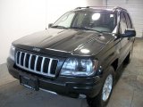 2004 Brillant Black Crystal Pearl Jeep Grand Cherokee Laredo 4x4 #26068074