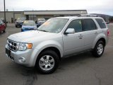 2009 Brilliant Silver Metallic Ford Escape Limited V6 4WD #26125392