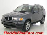 2003 Steel Grey Metallic BMW X5 3.0i #2595909