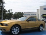 2010 Sunset Gold Metallic Ford Mustang V6 Coupe #26177321