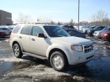 2010 White Suede Ford Escape XLT 4WD #26177357