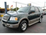 2003 Aspen Green Metallic Ford Expedition Eddie Bauer #26258762