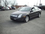 2006 Charcoal Beige Metallic Ford Fusion SE #26258369