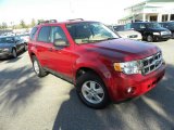 2009 Sangria Red Metallic Ford Escape XLT V6 4WD #26258438