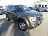 2009 Sterling Grey Metallic Ford Escape Limited V6 4WD #26258439