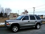 2001 Light Pewter Metallic Dodge Durango SLT 4x4 #26258463