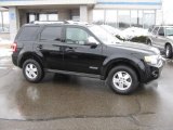 2008 Black Ford Escape XLT #26258470