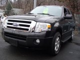 2007 Carbon Metallic Ford Expedition XLT 4x4 #26307560