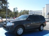 2007 Carbon Metallic Ford Expedition XLT #26355534