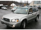 Platinum Silver Metallic Subaru Forester in 2005