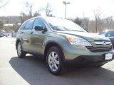 2007 Green Tea Metallic Honda CR-V EX 4WD #26505559