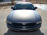 2005 Mineral Grey Metallic Ford Mustang V6 Deluxe Coupe #26595806