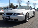 2003 Silver Metallic Ford Mustang Cobra Coupe #26595525