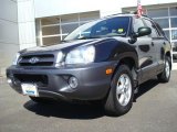 2006 Hyundai Santa Fe GLS