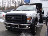 2010 Oxford White Ford F450 Super Duty Regular Cab 4x4 Chassis Dump Truck #26673144