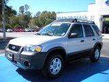 2005 Silver Metallic Ford Escape XLT V6 #26673014