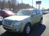 2008 Kiwi Green Mercury Mariner V6 Premier 4WD #26743987