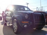 2004 Timberline Green Pearl Jeep Liberty Limited 4x4 #26778514