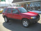 2007 Redfire Metallic Ford Escape XLT V6 4WD #26832191