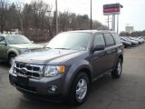 2009 Sterling Grey Metallic Ford Escape XLT V6 4WD #26881609