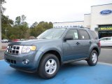 2010 Steel Blue Metallic Ford Escape XLT V6 #26881529