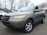 2007 Hyundai Santa Fe GLS