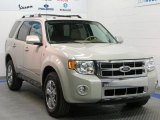 2008 Light Sage Metallic Ford Escape Limited 4WD #27071317
