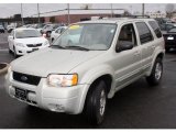 2003 Gold Ash Metallic Ford Escape Limited 4WD #27113162