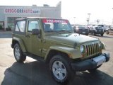 2008 Jeep Green Metallic Jeep Wrangler Sahara 4x4 #27169434