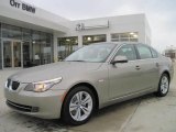 2010 Platinum Bronze Metallic BMW 5 Series 528i Sedan #27169597