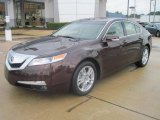 2010 Basque Red Pearl Acura TL 3.5 #27169491