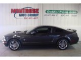 2009 Alloy Metallic Ford Mustang GT Coupe #27169973