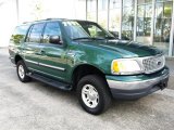 Tropic Green Metallic Ford Expedition in 1999