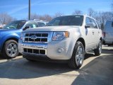 2010 White Suede Ford Escape Limited V6 4WD #27325272