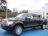 2010 Ford F150 Platinum SuperCrew 4x4